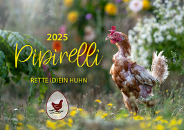 1 Stück PIPIRELLI Kalender 2025 "Aufblühen im 2. Leben"