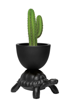 Qeeboo Blumentopf Schildkröte - schwarz