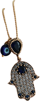 HAMSA 1