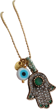 HAMSA 6
