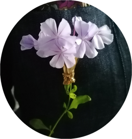 SPILLA BOUQUET "quel mazzolin di fiori"
