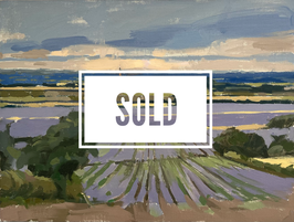 Violet fields at Leadenham