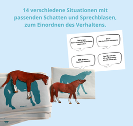 Datei Pferdeverhalten und Erklärkarten