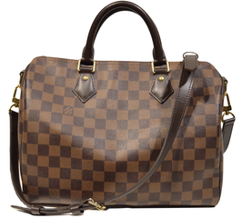 Louis Vuitton Speedy 30 Bandoliere