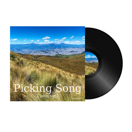 Picking Song (Guitar Tabs)
