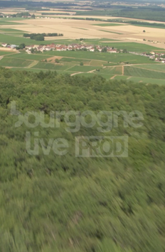 Corton-foret-Ladoix-carriere