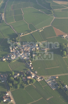 Aloxe Corton vignes haute altitude