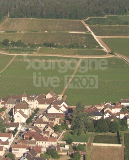 Morey villages vignes 360