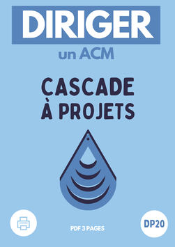 DP20 : La Cascade à Projets