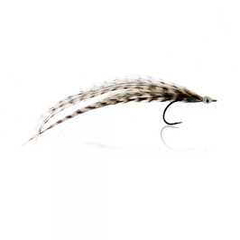 Flatwing Baitfish