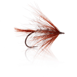 Autumn Fly