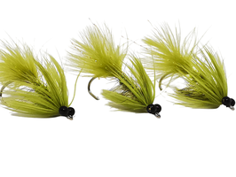 Olive Magnus