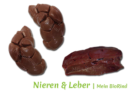 Bio Nieren & Bio Leber - Rind 64