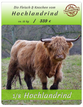 1/8 BIO~Hochlandrind