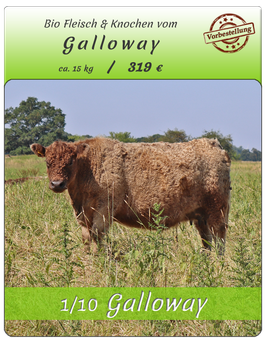 1/10 BIO~Galloway