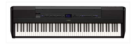 P515 Luxury Digital Piano only ( stand and pedals extra)