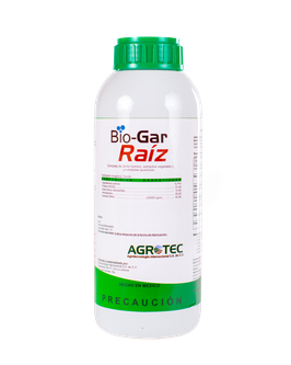 Bio Raiz