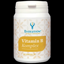 Evolution Vitamin B Komplex 90 Kapseln