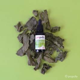 Bio Propolis Tinktur grün