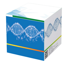 JoJo ssDNA Quantifizierungs-Kit mit hoher Sensitivität