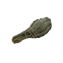 Weißer Salbei 12 cm