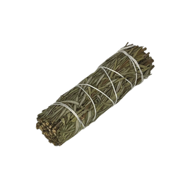 ROSMARIN 10 cm