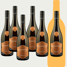 Ried Schütten Grüner Veltliner Reserve 2020 - 4+2