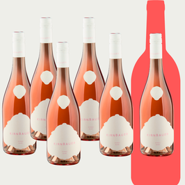 Rosé Syrah 2022 - 4+2