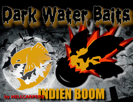 Indien BOOM