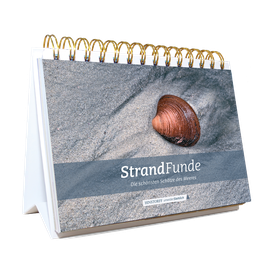 Aufsteller Strand Funde