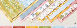 Besonderes Designerpapier "Alle Wetter"