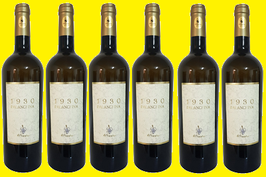 6 Bottiglie da 0,75cl di Falanghina Beneventano "1930"