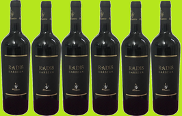 6 bottiglie da 0,75cl di Barbera Beneventano "RADIS"