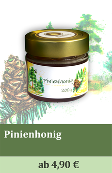 Pinienhonig