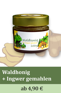 Gewürzter Waldhonig mit Ingwer