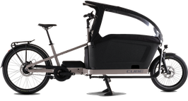 CUBE CARGO HYBRID COMFORT PRO FAMILY 800 [BOSCH]