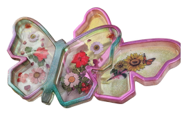 Schale in Schmetterling
