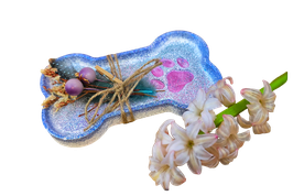 Kleine Schale, Knochenform mit Pfote