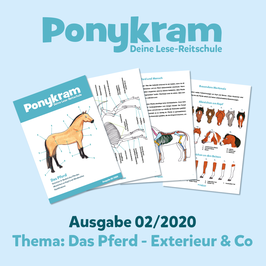 Maxi-Ponykram - Das Exterieur & Co