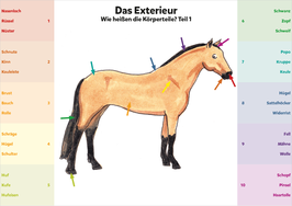 Klippkarten "Körperteile/Exterieur"