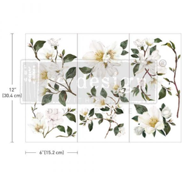 Transfer - White Magnolia