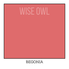 Chalk Paint - Begonia