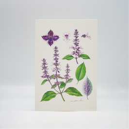 ポストカード（絵葉書）＊１０枚セット＊