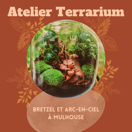Atelier Terrarium - Samedi 01/03 à 10h30