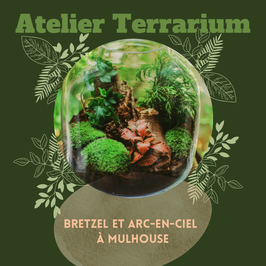 Atelier Terrarium privé - Dimanche 8 décembre à 14h