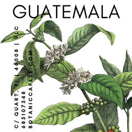 CAFÉ DE GUATEMALA