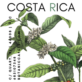 CAFÉ DE COSTA RICA