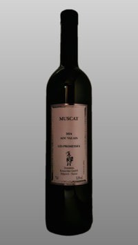 Muscat