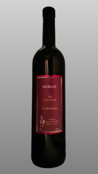 Merlot