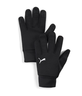TSG Winter Gloves